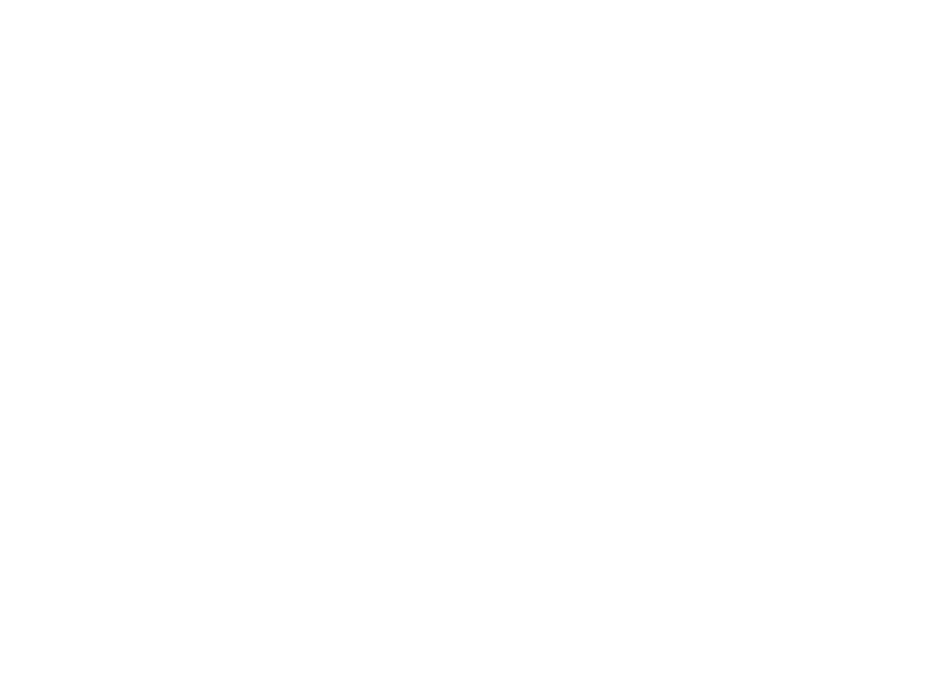 GeoPress